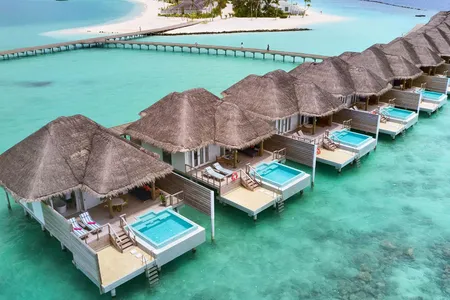 Dolphin Ocean Suite