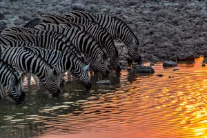 Namibia