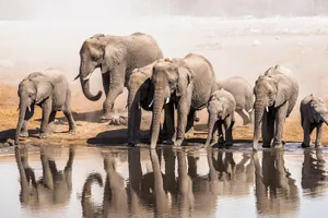 Namibia