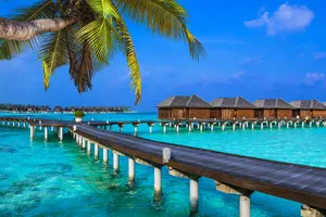 Maldive