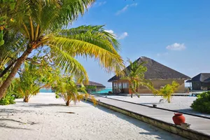 Maldive
