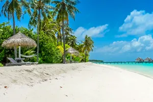 Maldive