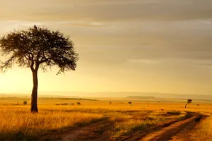 Kenya