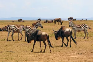 Kenya