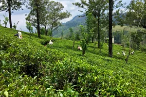Sri Lanka