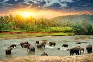 Sri Lanka