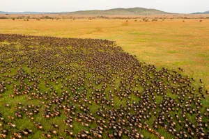 Tanzania