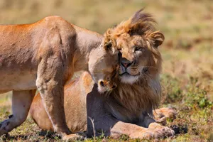 Tanzania